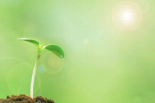 歲生之初，且聽(tīng)我說(shuō)