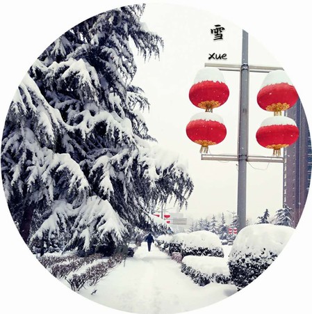 雪，寒冬里的溫柔