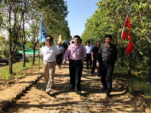 陜西省總工會(huì)黨組書記、主席白阿瑩一行蒞臨鄠邑區(qū)調(diào)研考察草堂寺健康養(yǎng)老示范項(xiàng)目