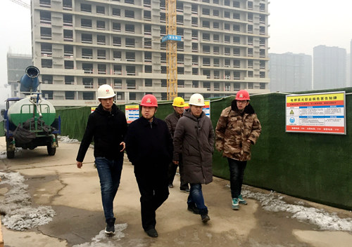 王寧深入藍山水岸項目檢查指導(dǎo)工作