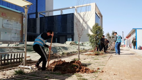 陜煤建設(shè)澄合分公司基層單位開(kāi)展“植樹(shù)護(hù)綠，美麗家園”義務(wù)植樹(shù)活動(dòng)