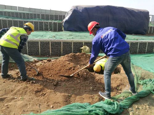 陜煤建設綠宇園林公司:激活“神經末梢”  打響“五小”創(chuàng)新戰(zhàn)