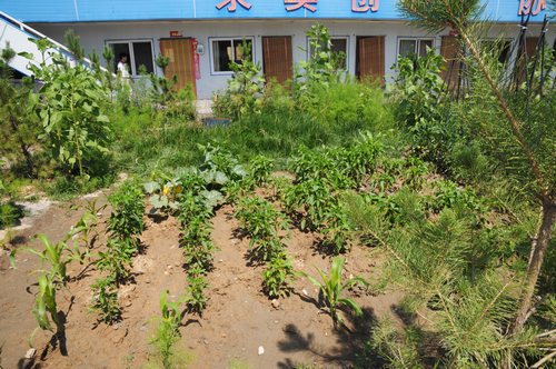 陜煤建設(shè)掘進(jìn)公司:北翼項目部走出一條綠色發(fā)展路