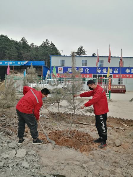陜煤建設礦建二公司建莊項目部開展“植樹抗疫、青年先行”植樹活動
