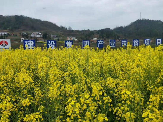 公司領導寧興剛、侯本英到扶貧定點幫扶村看望慰問困難群眾