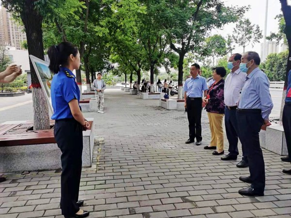 西安市碑林區(qū)人大代表深入陜煤建設(shè)澄合分公司承建的背街小巷提升改造項(xiàng)目進(jìn)行考察