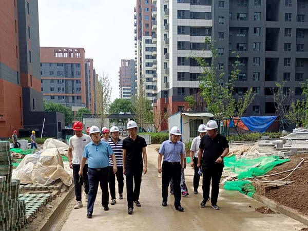 王明智一行深入藍山水岸項目檢查指導(dǎo)工作