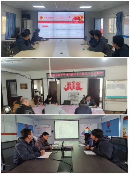 將團(tuán)的十八屆六中全會(huì)精神浸入青年職工心田