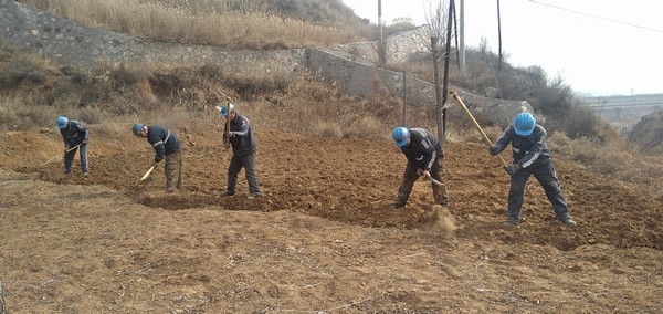 陜煤建設(shè)洗選煤運營公司左權(quán)洗煤廠項目部：春耕“小菜園”，播種幸福感