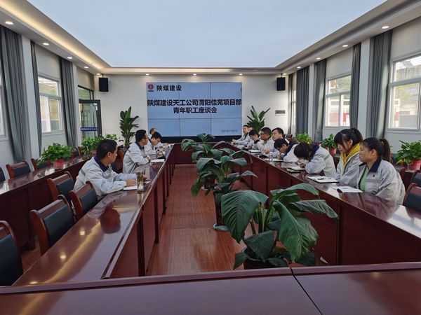陜煤建設(shè)天工公司渭陽佳苑項目“復(fù)工復(fù)產(chǎn)+青年員工座談”顯芳華