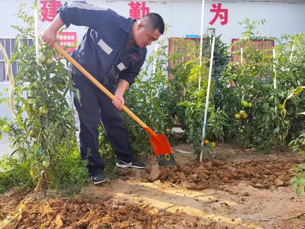 陜煤建設(shè)洗選煤運(yùn)營公司第七項(xiàng)目部：開墾“試驗(yàn)田” 扎根大荒漠