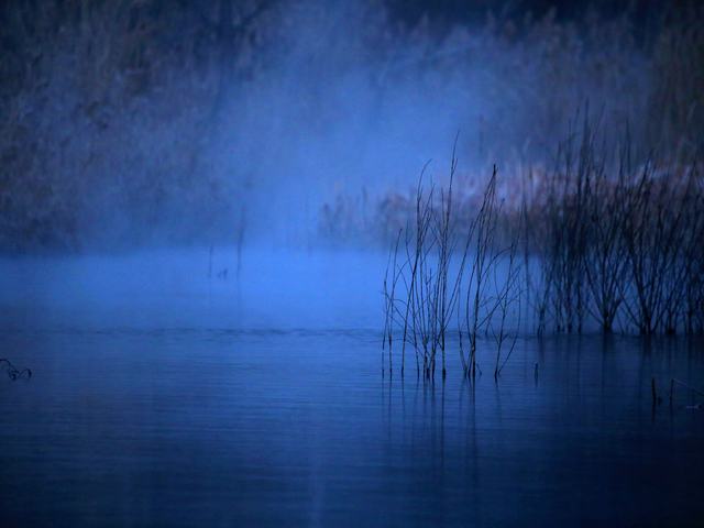 “冬月”你好！