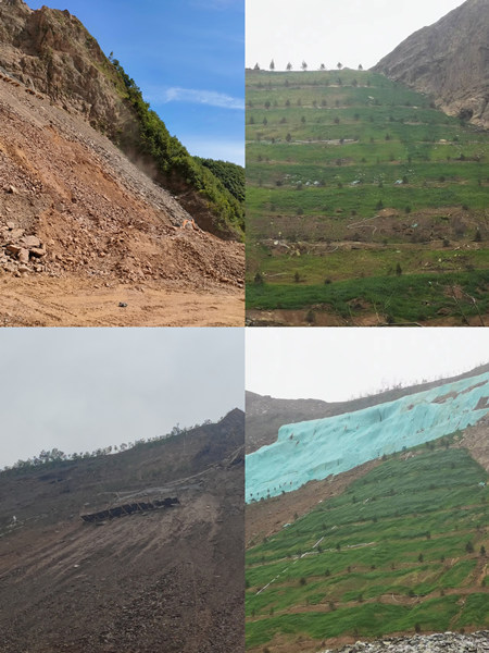 渣山變綠林，碎石堆場(chǎng)批“綠裝”