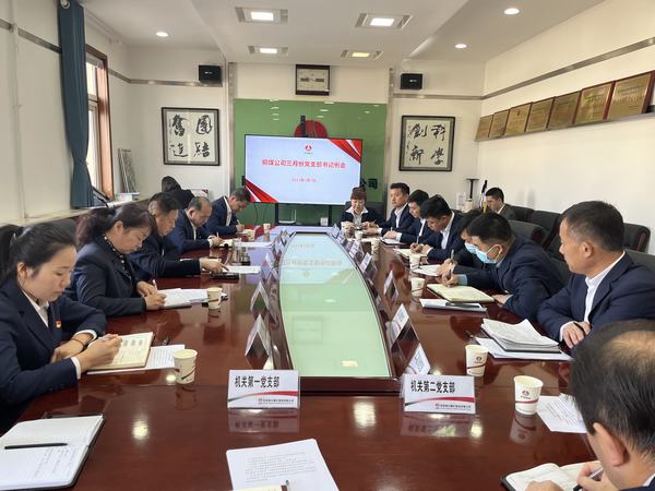 陜煤建設(shè)銅煤公司：升級(jí)黨建一體矩陣 賦能生產(chǎn)經(jīng)營融合提升