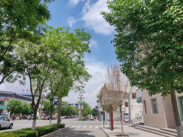 青春，慢點走