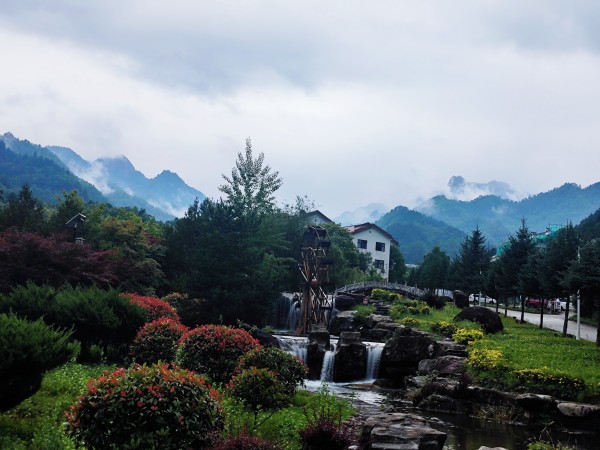 在木王山，遇見21℃的夏天
