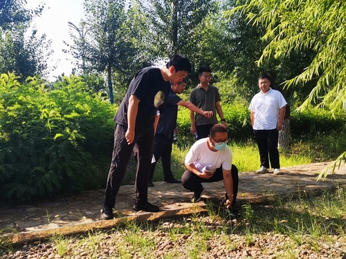陜煤建設(shè)榆林公司承建的科創(chuàng)新城同慧運(yùn)動公園項(xiàng)目綠化工程通過年度驗(yàn)收