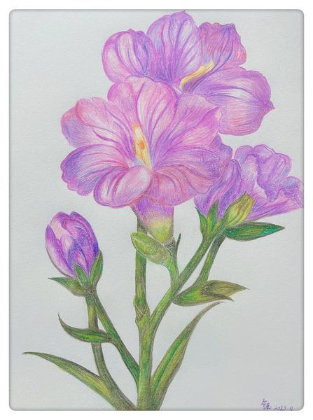 花繪夢(mèng)語 自然彩繪