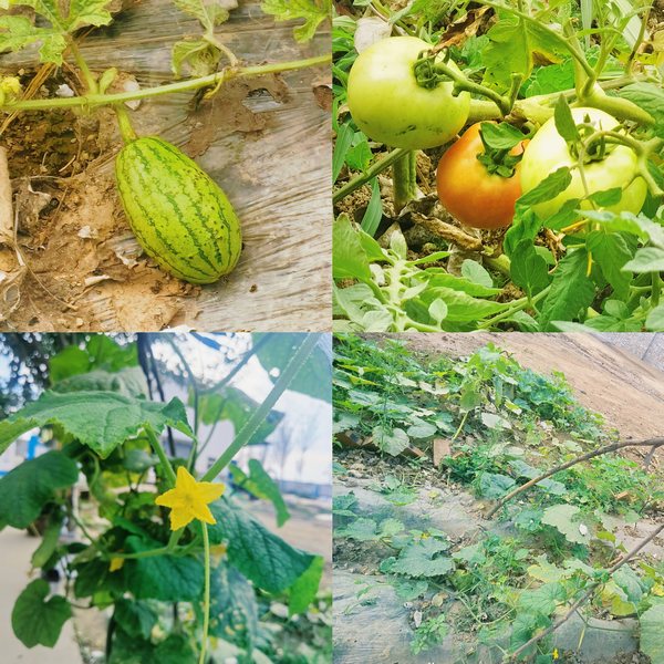 陜煤建設(shè)路橋分公司全心全意打造基層項(xiàng)目“幸福家”