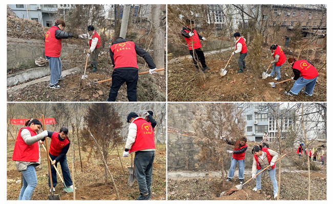 陜煤建設(shè)機(jī)電安裝公司：走，上春山，植樹去！