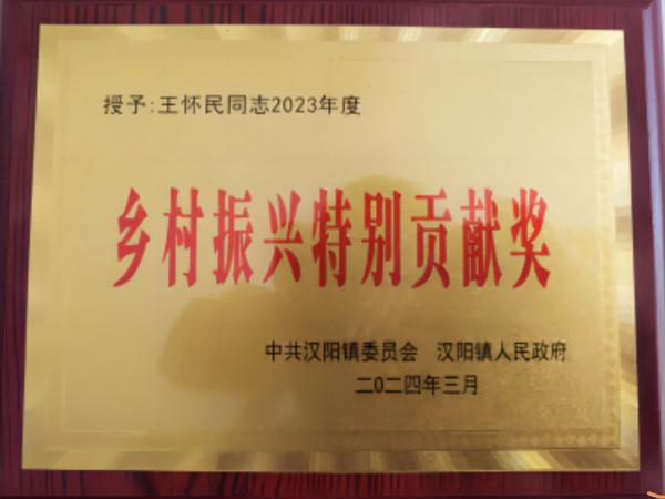 陜煤建設(shè)駐村工作隊(duì)獲得漢陰縣漢陽(yáng)鎮(zhèn)“鄉(xiāng)村振興特別貢獻(xiàn)獎(jiǎng)”