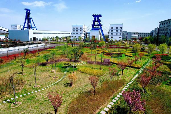 踏尋春天的底色，感知生命的力量