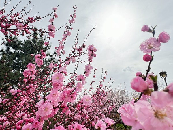 與“春天”來一場(chǎng)鏤空邂逅