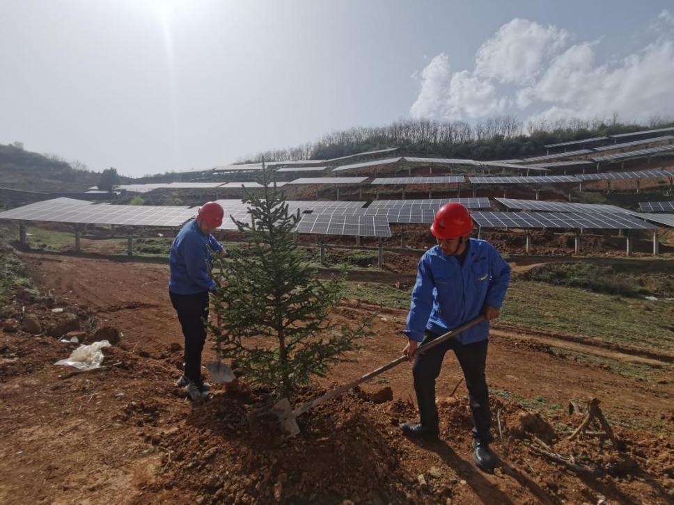 陜煤建設(shè)西北分公司機(jī)電安裝項(xiàng)目部： 全員參與，共筑綠色屏障