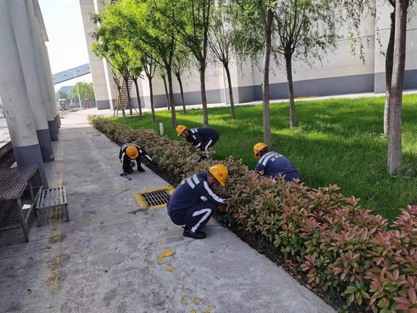 陜煤建設(shè)洗選煤運營公司神渭蒲城運營項目部：逐”綠”而行 向”綠”而興！廠區(qū)綠化在行動