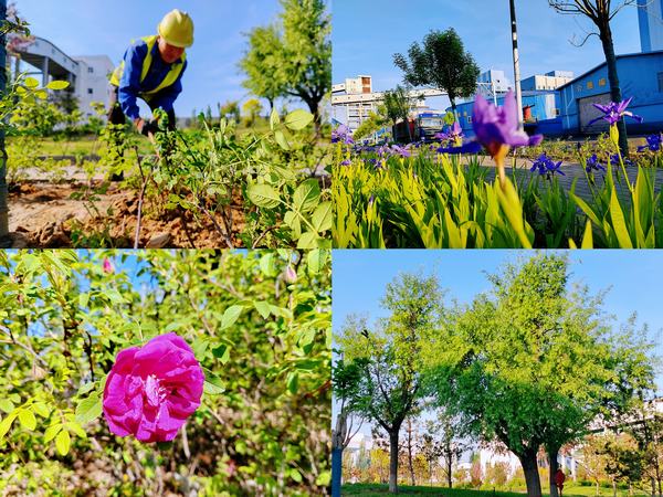 陜煤建設(shè)洗選煤運(yùn)營公司紅柳林洗煤廠項(xiàng)目部：強(qiáng)化綠色三大支柱  筑牢綠色生態(tài)屏障