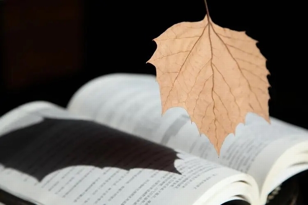 醉人的書(shū)香