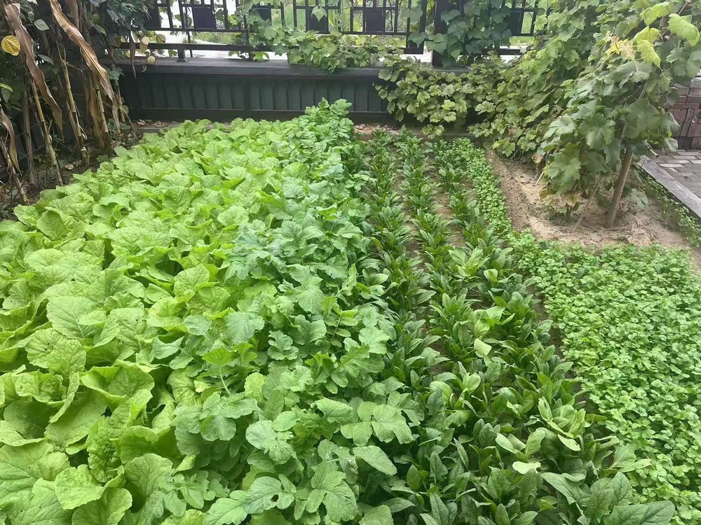 工地之上，家的溫度悄然綻放