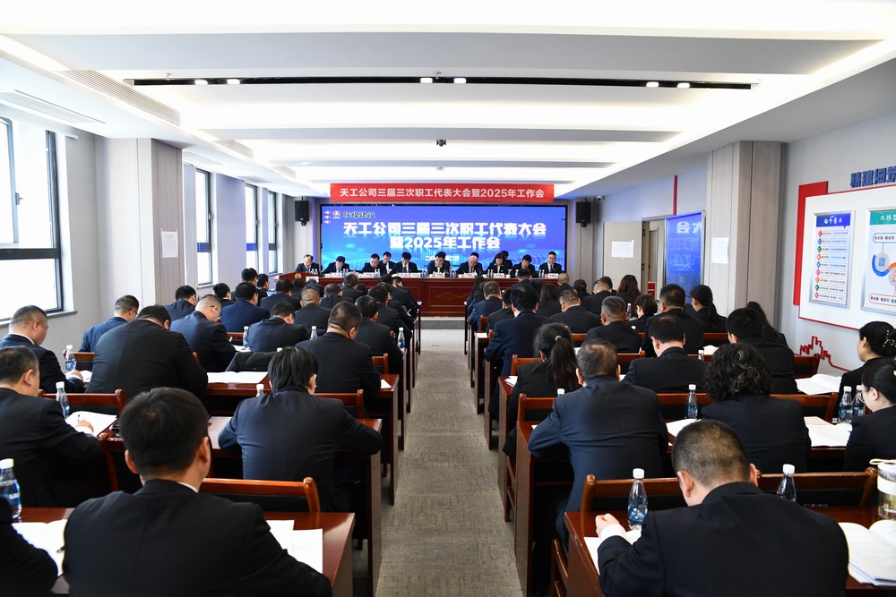 集團領導指導所屬單位召開2024年度領導班子民主生活會暨巡視整改專題民主生活會