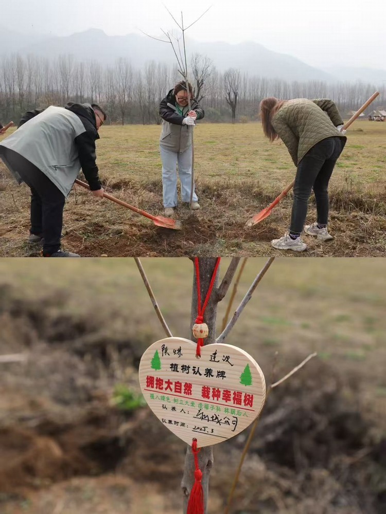 陜煤建設新城公司：“植”此青綠 共“樹”未來