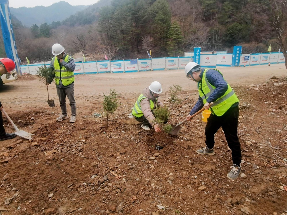 “植”此青綠，陜煤建設路橋分公司春風十里添新林