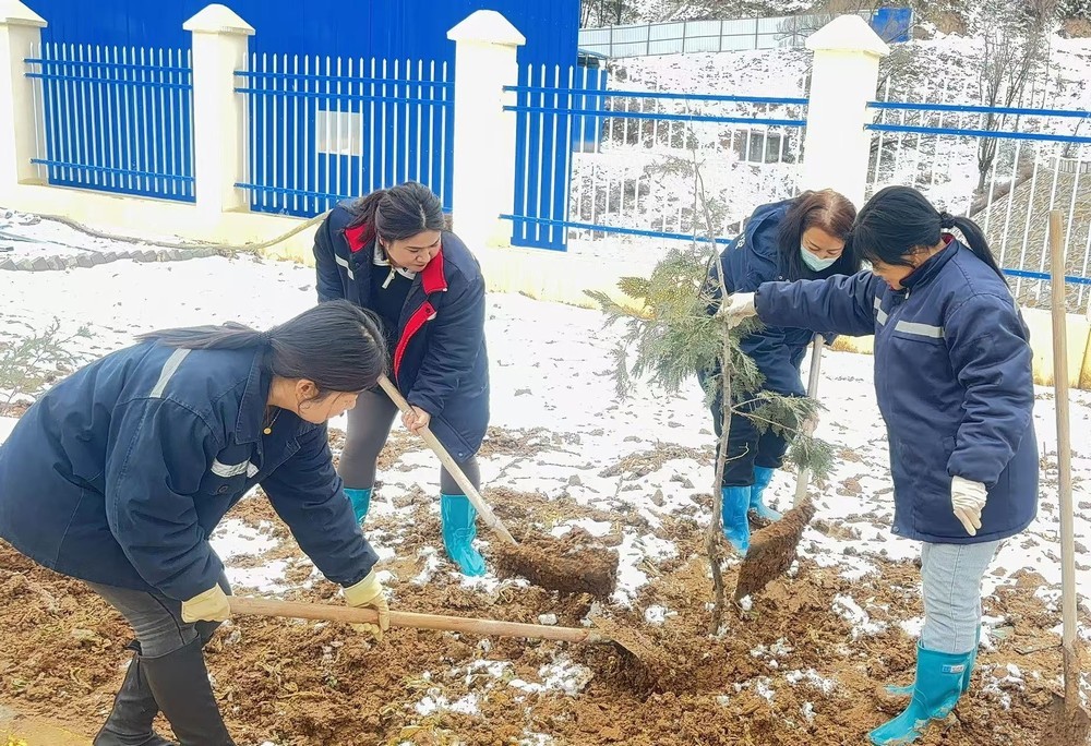 陜煤建設礦建三公司：巾幗添綠綻芳華，共筑生態(tài)新環(huán)境