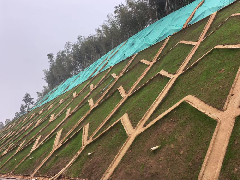 陜煤建設(shè)西北分公司：邊坡披綠衣，防護(hù)顯匠心