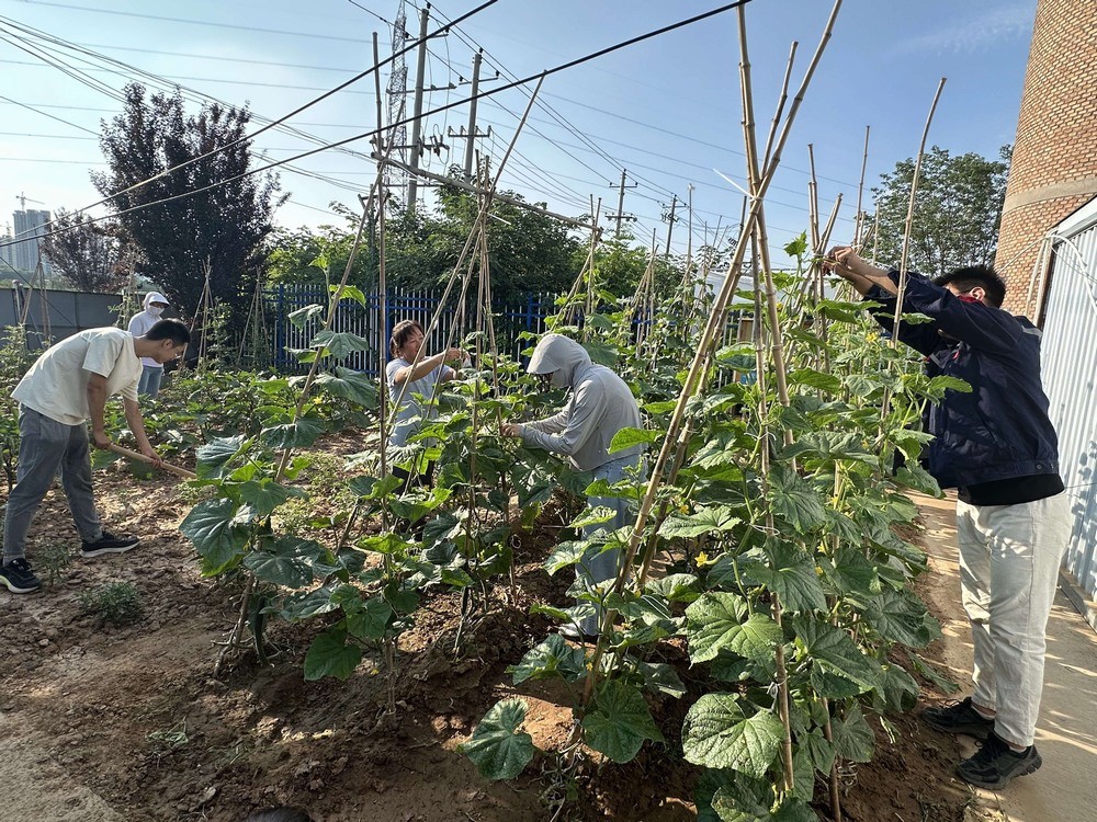 方寸菜園間，鐫刻奮斗與溫情
