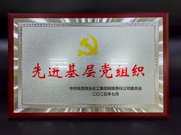 陜煤建設(shè)煤礦運(yùn)營服務(wù)分公司黨總支榮獲陜煤集團(tuán)“先進(jìn)基層黨組織”稱號(hào)
