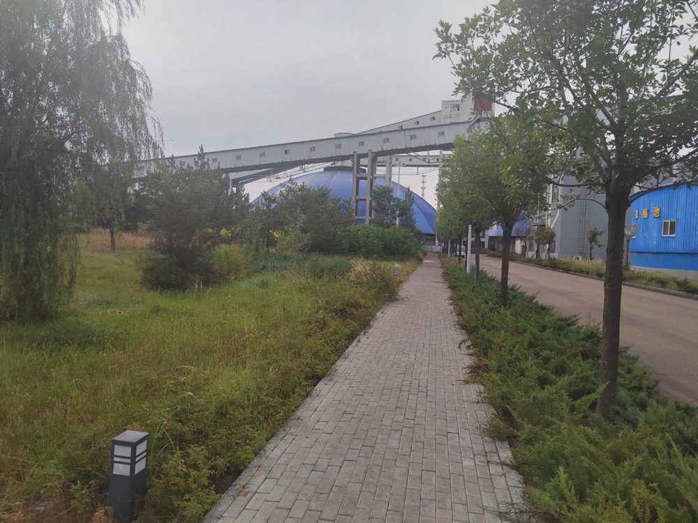 陜煤建設洗選煤運營公司紅柳林洗煤廠項目部：秋韻里的安全堅守與生產(chǎn)奮進