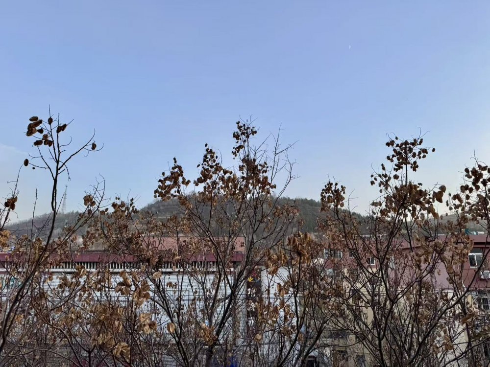 秋意漸濃時(shí)，回望來(lái)時(shí)路