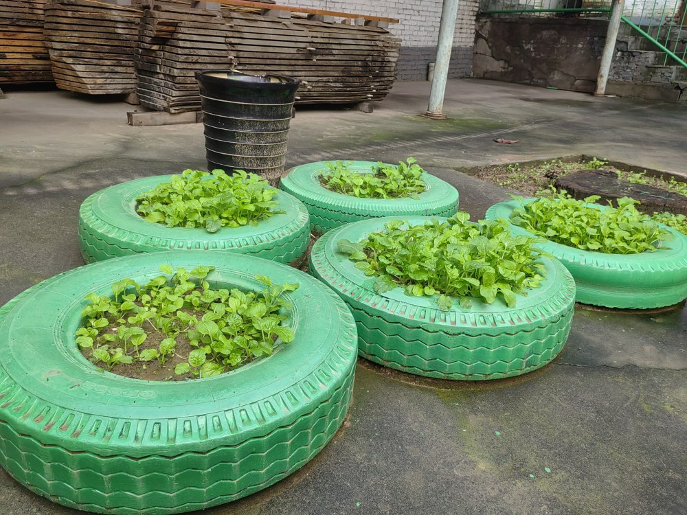 創(chuàng)意無休，廢舊輪胎也能C位出道