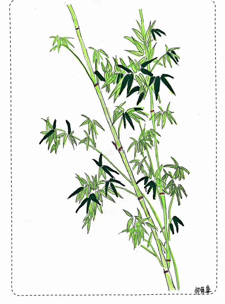 漫說廉潔！這組“草木廉盟”太可了