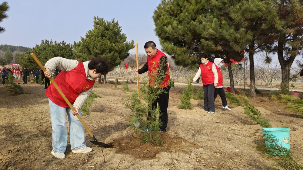 陜煤建設(shè)澄合分公司：企地同心植新綠
